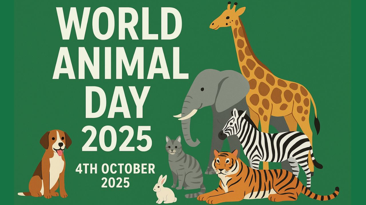 World Animal Day