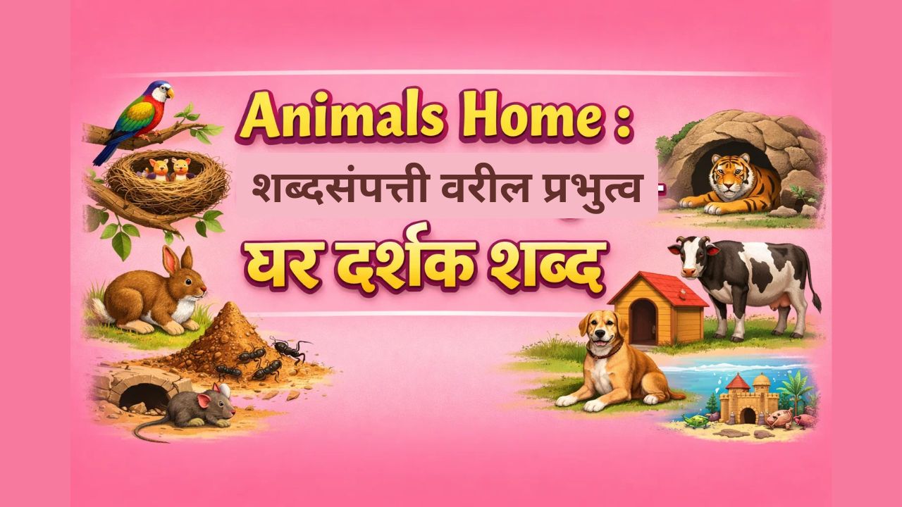 Animals Home